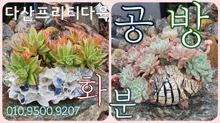 다산프리티다육에서 유튜브에 첫 소개하는 공방화분 [ 010.9500.9207 ] 경기도 구리시 사노동 141ㅡ2