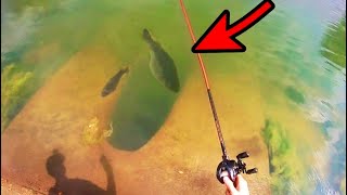 BIG BASS FISHING in CLEAR WATER CITY POND!