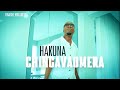 Tinashey Mutandwa - Hakuna Chingavaomera 