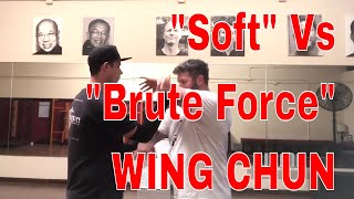 "Soft" Structure Vs "Hard" Brute Force WING CHUN