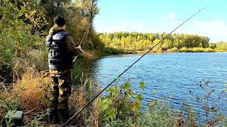 Делаю такую проводку и всегда ловлю щуку на силикон. Сборка приманки, поимка щуки