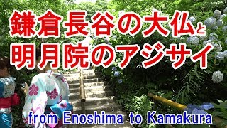 [ドライブ+観光] 江の島から江ノ電に乗って鎌倉観光（長谷の大仏・明月院のアジサイ）SUBARU BS9 OUTBACK