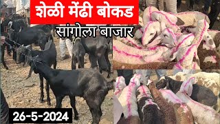 शेळी बोकड मेंढी बाजार सांगोला / Goat Sheep market Sangola / चालू बाजारभाव 2024