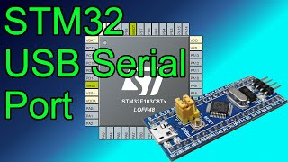 USB Serial Port 🟣 STM32 Programming with STM32F103C8T6 Blue Pill C++  in STM32 Cube IDE