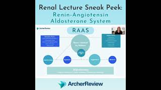 Understanding the Renin-Angiotensin-Aldosterone System (RAAS)