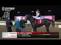 woodbine tbred december 8 2024 race 9 woodbine horse race replay