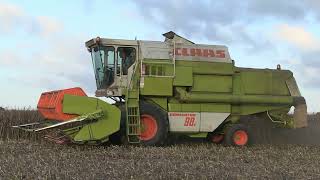 CLAAS DOMINATOR 98S HARVESTING BEANS