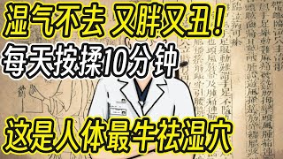 减肥：湿气不去，又胖又丑！每天按揉10分钟，这个人体最牛“祛湿穴”