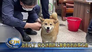 找對人了 柴犬迷路跳上警車找到返家之路