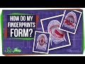 How Do My Fingerprints Form?