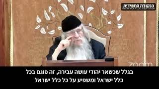 הגה״ח הרב ווכטר שליט״א | ערבות הדדית - איך הפעולות שלי משפיעות על אחרים?