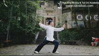 Yang-style Tai Chi 8 Form (Repetition) 杨氏太极8氏 : Beginner Tai Chi Form