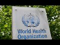 World Health Organization holds coronavirus briefing