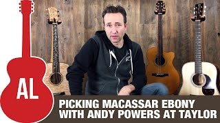 Behind the Scenes at Taylor - Picking Macassar Ebony with Andy Powers