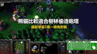 熊貓比較適合樹林偷造砲塔 | 魔獸爭霸3第一視角對戰 | war3 solo | 1v1