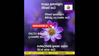 ඔයාට වැදගත් දෙයක් #wadan