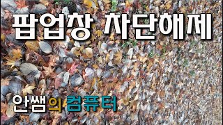 팝업차단해제, 크롬 팝업창 차단 허용, 팝업창 제어하기