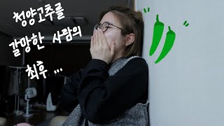 [VLOG] 먹고 편집하고 과제하고 바쁜 사람의 일상 (feat. 요리)