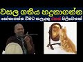 වසල ගතිය දුරුකර සොතාපන්න වෙන්න​ wasala gathiya wasala suthraya dharmayai obai niwathapa thero