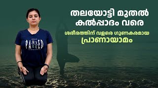 തലയോട്ടി മുതൽ കൽപ്പാദം വരെ ശരീരത്തിന് വളരെ ഗുണകരമായ പ്രാണായാമം | Healthy Digestion | Yoga For Asthma