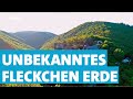 Zwischen Mosel und Hunsrück - Eine Reise durch den Haardtwald