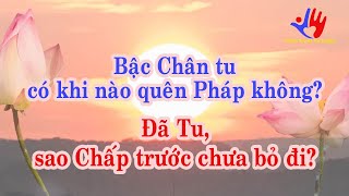 Bậc Chân tu có khi nào quên Pháp không? Đã Tu, sao Chấp trước ấy chưa bỏ đi?