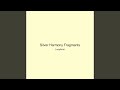 Silver Harmony Fragments