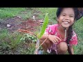 kattapos lang ng ulan tanim muna ng saging sa bukid farm house