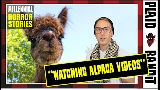 Millennial Horror Stories: Watching Alpaca Videos