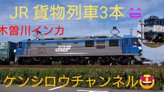 優しい運転士さんに感謝🤩貨物列車3本 ひだ見れましたよ😄木曽川インカで久しぶりにパパ1人で撮りに行ってきましたよ‼️