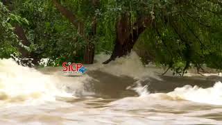 Exclusive VISUALS | Flooding in the Hogenakkal Falls 16/08/2018 | #HogenakkalFalls #Rainfall #Water