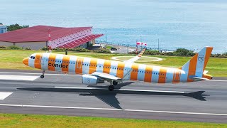 CONDOR NEW LIVERY - Do You Like? Airbus A321 at Madeira Airport