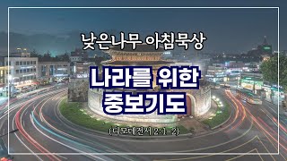 [낮은나무 아침묵상] _나라를 위한 중보기도 _디모데전서 2:1-2 _신원동 낮은나무교회