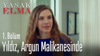 Yıldız, yeni işi için Argun malikanesinde - Yasak Elma 1. Bölüm