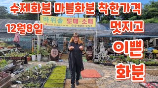 #수제공방화분 #동물화분 #마블화분 #착한가격 우물정진주바위솔