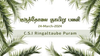 குருத்தோலை ஞாயிறு பவனி 2024 | Palm Sunday 2024 | C.S.I Ringaltaube Puram