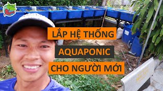 Lắp lại hệ thống aquaponic cho nhà mới - Những lưu ý khi lắp đặt aquaponic