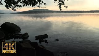 Sunrise Glow at Savage Bay - Bird Sounds/Morning - 4k - Calming/Awakening/Happiness - 40 mins