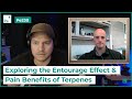 Pe230 Clip: How Terpenes Mimic Cannabinoids in Animal Behavior Effects