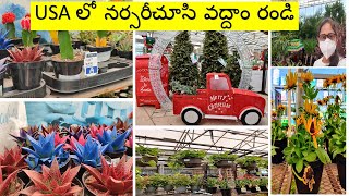 Nursery Trip in USA | Spring Season attractions| Telugu vlogs from USA| USA Telugu Vlogs|#telugu
