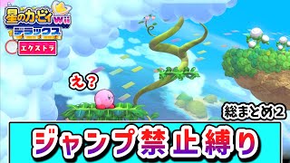 【エクストラ編】ジャンプ禁止でクリアを目指すカービィの物語２【星のカービィ wii デラックス】【ゆっくり実況】