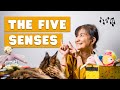 Learn the five senses! | Kids sing along | Kids song