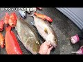 【検証】小魚のようなジグを巨大魚の潜む海に落としてみるとヤバい結果が・・・