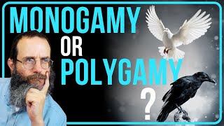 Polyamory is pure narcissism: Noah's Ark, the Flood, and the Birth of Monogamy