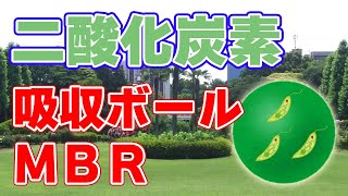 二酸化炭素吸収ボール『MBR』について【日本の高校生が開発】