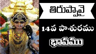 తిరుప్పావై 14వ రోజు పాశురము|| పాశురానికి సంబంధించిన భావం గురించి ఈ వీడియోలో తెలుసుకుందాం🙏🙏🙏