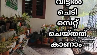 വീട്ടിൽ ചെടി സെറ്റ് ചെയ്തത് കാണാം /gardening Malayalam/ Plant Settings/Online Plant Sale/Zain World