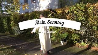 „Mein Sonntag“ - Der wöchentliche Impuls mit Pater Albert: Meditatives Laubfegen