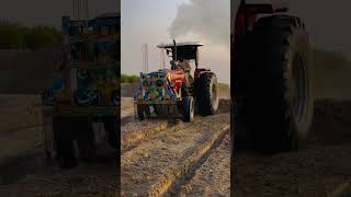 #tractor #video #385 Mf 385