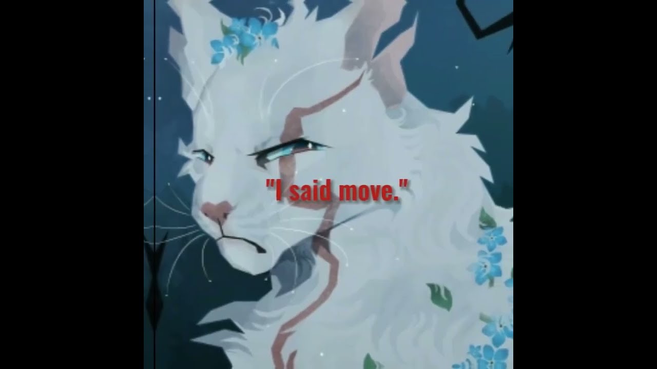 Is Snowkit Snowtuft Warrior Cats Theory Edit Housepetscare